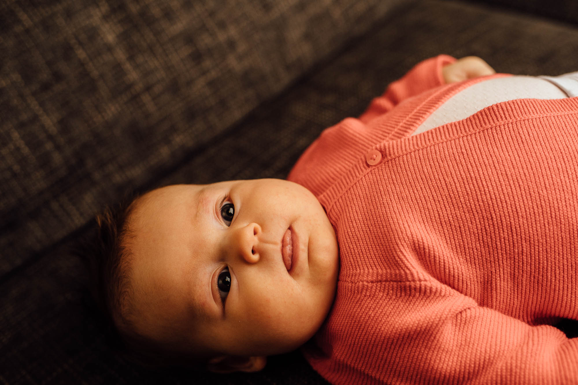 Export x3 5D4 0431 Familyfotoshooting 2020 Rossbach